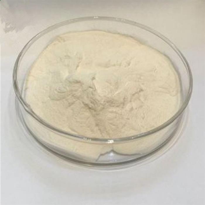 二氧化铈厂家氧化铈磨料抛光粉图1