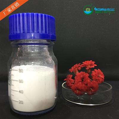 纳米氧化铈抛光粉体玻璃抛光剂超细氧化铈催化剂隔离剂抗老化剂